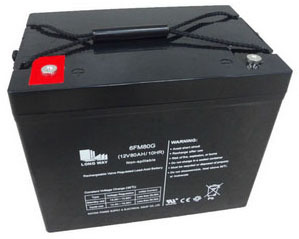 6FM80 Chargeable AGM Battery for UPS System