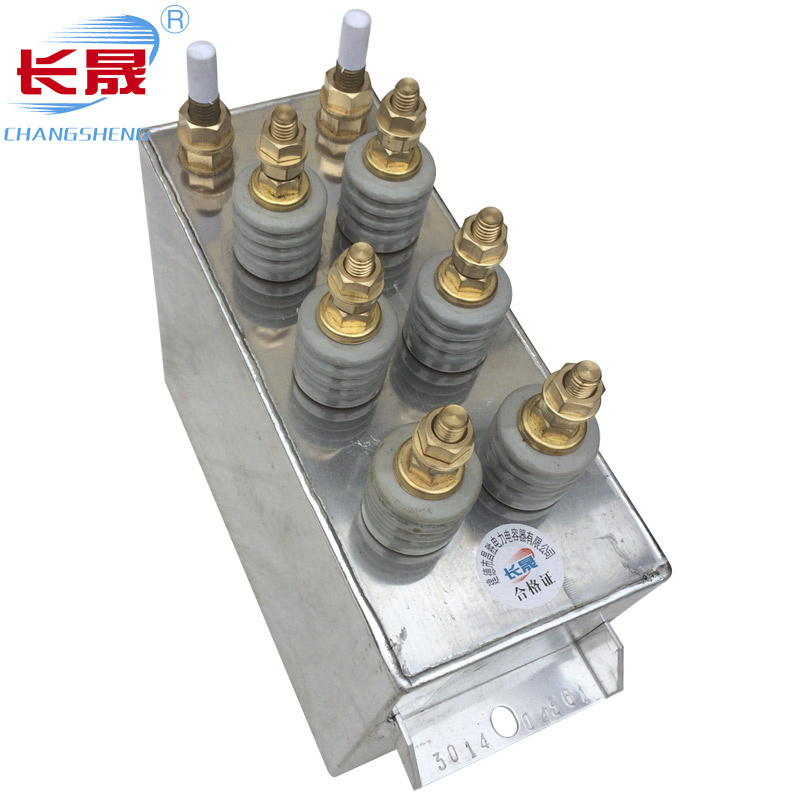 Rfm1.0-1000-1s Electrolytic Capacitor