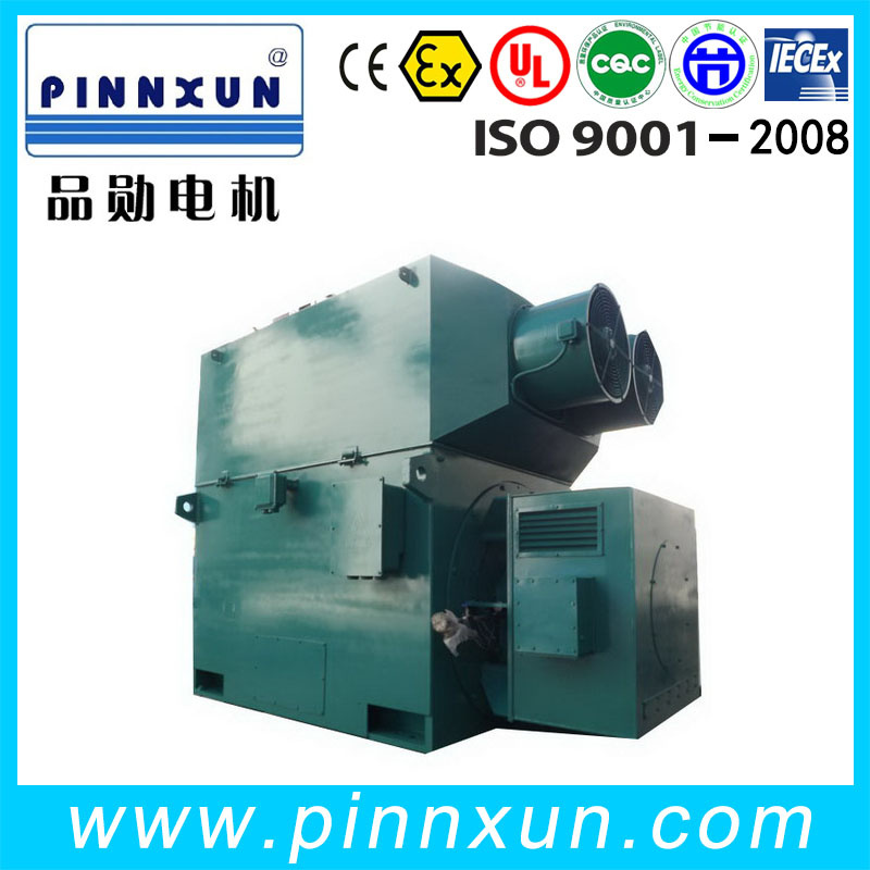 50Hz Slip Ring High Voltage Motors