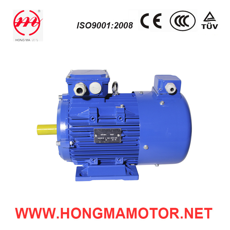 4 Pole Frequency Variable and Adjust Speed Induction Motor with Cast Iron Housing