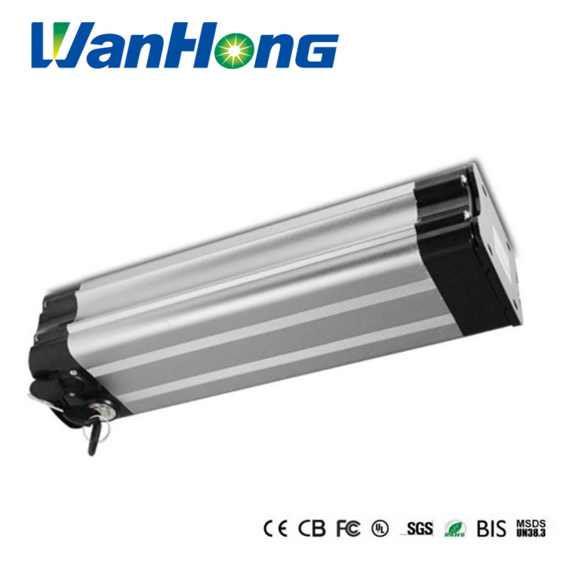 48V 10ah Rechargeable Battery for E Bike