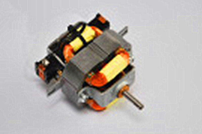 Copper AC Motor for Hair Dryer with RoHS/Ce Approval