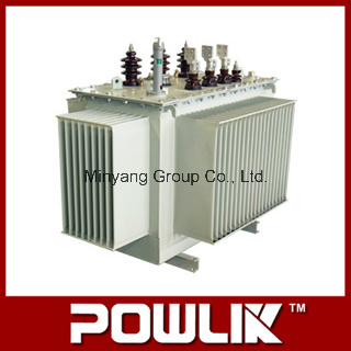 11kv Grade S11-M Series Oil-Immersed Distributing Transformer