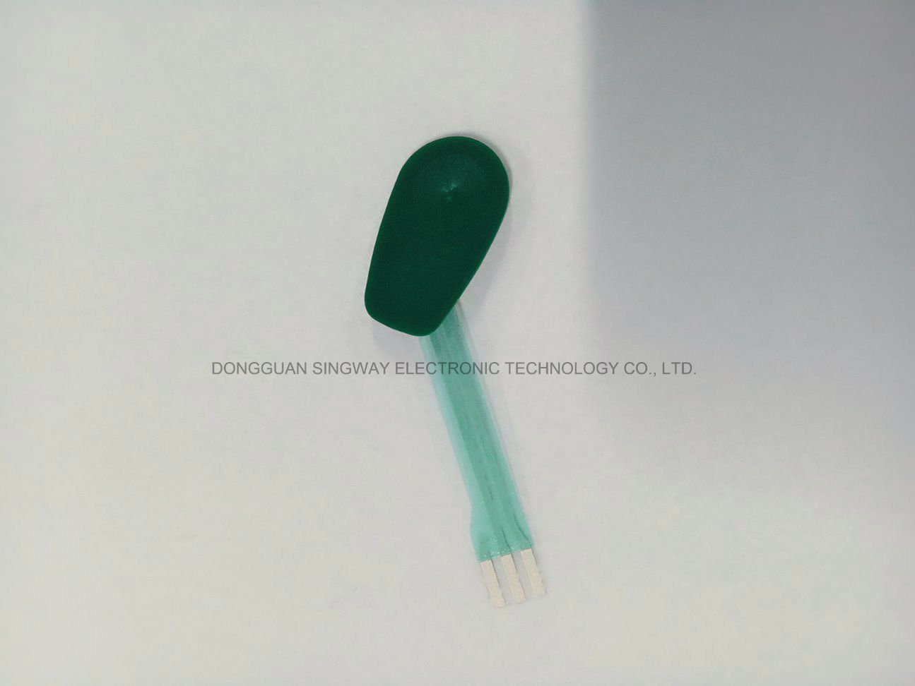 Membrane Switch with Single Control Switch