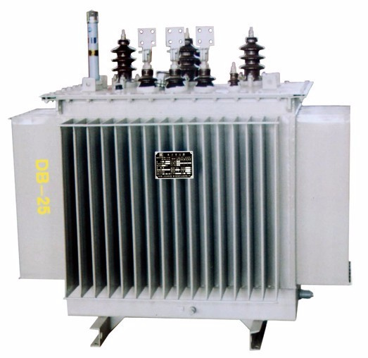 6kv Single Phase Oil-Cooled (ONAN) Distribution Transformer