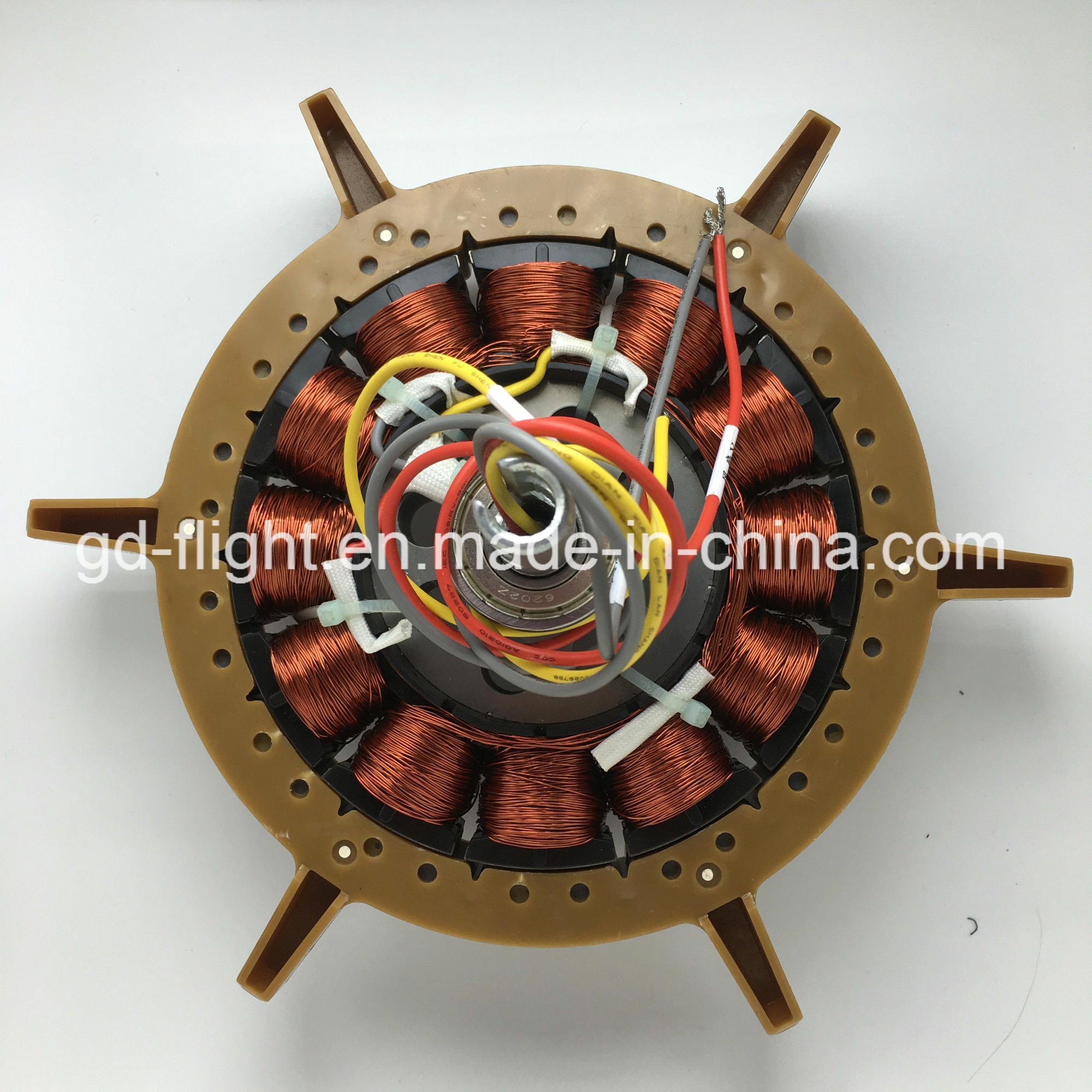 DC Solar Ceiling Fan Motor