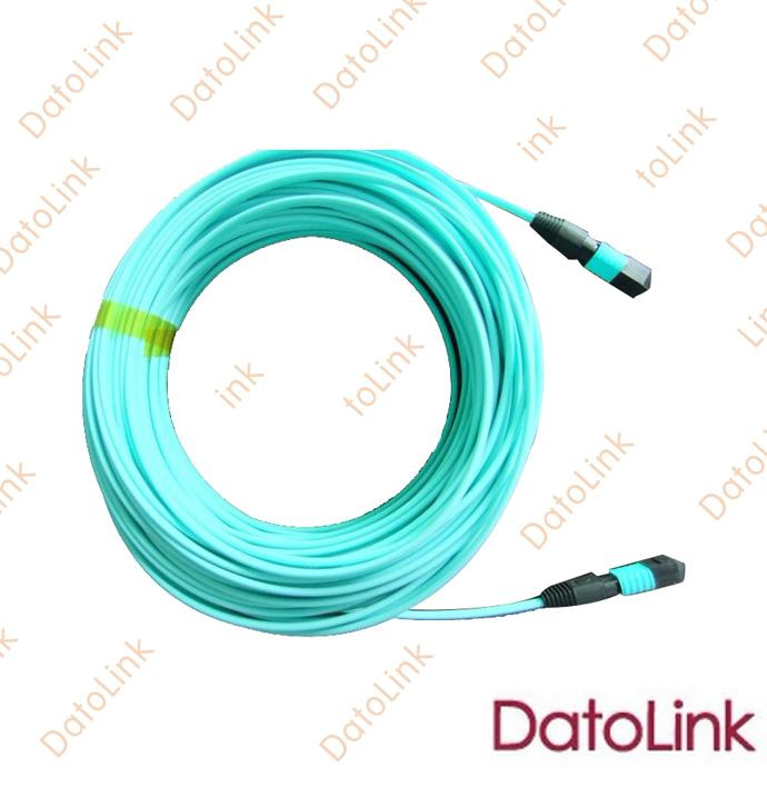 Om3 Patch Cord with MPO Connectors