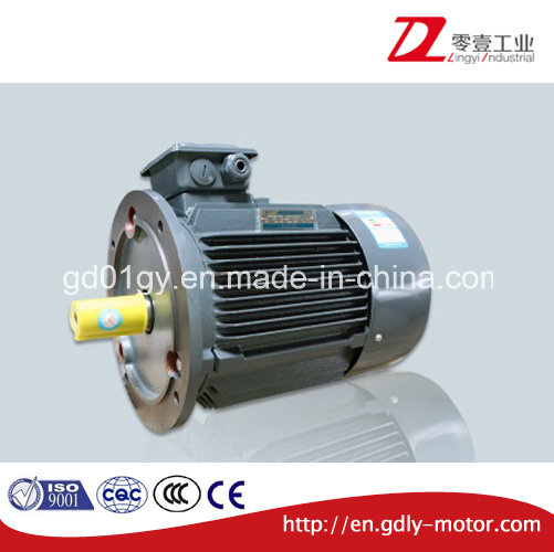 Beide Brand High Efficiency 3 Phase Induction Motor