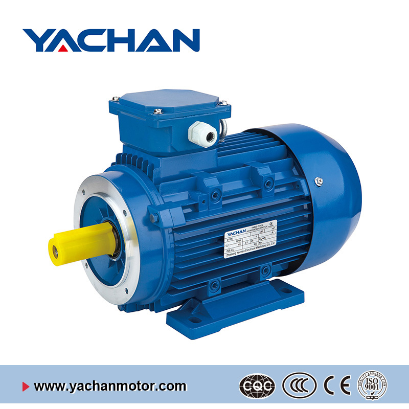 CE Approved Ms Series Three Phase Induction Motor