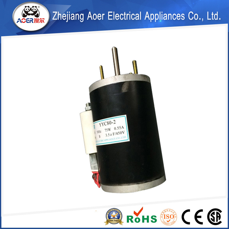 Quality Primacy Factory Price Distinctive Single Phase Electric Motor