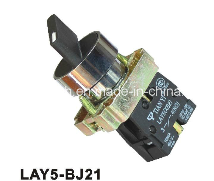 Lay5-Bj21 Two Position Long Handle Push Button Switch