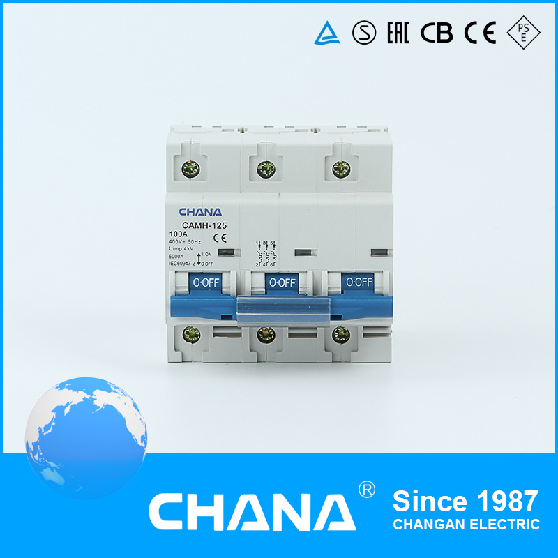 2p 125A MCB 240V 6ka Mini Circuit Breaker