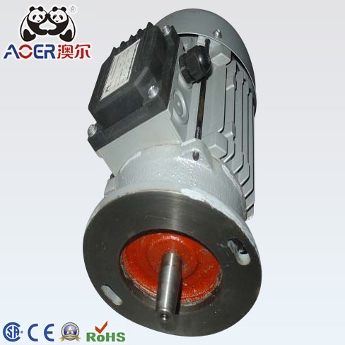 Three Phase AC Induction Electric Motor 250W