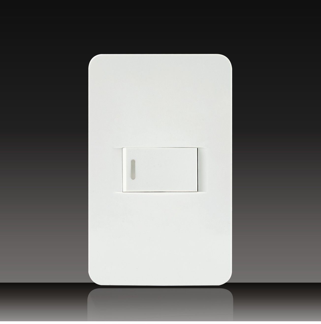 1 Gang 1 Way Wall Switch with Neon (LGL-11-1)