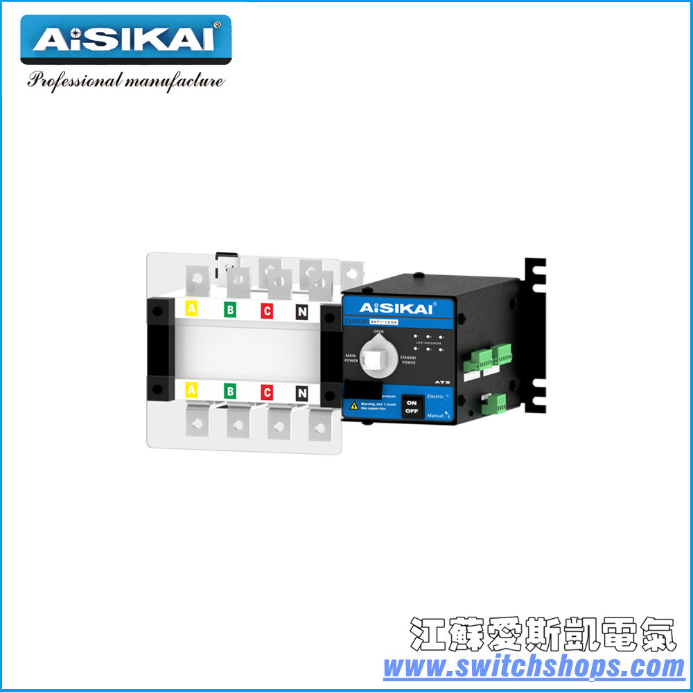 250A Electric Automatic Transfer Switch 4poles (CE, CCC, ISO9001)