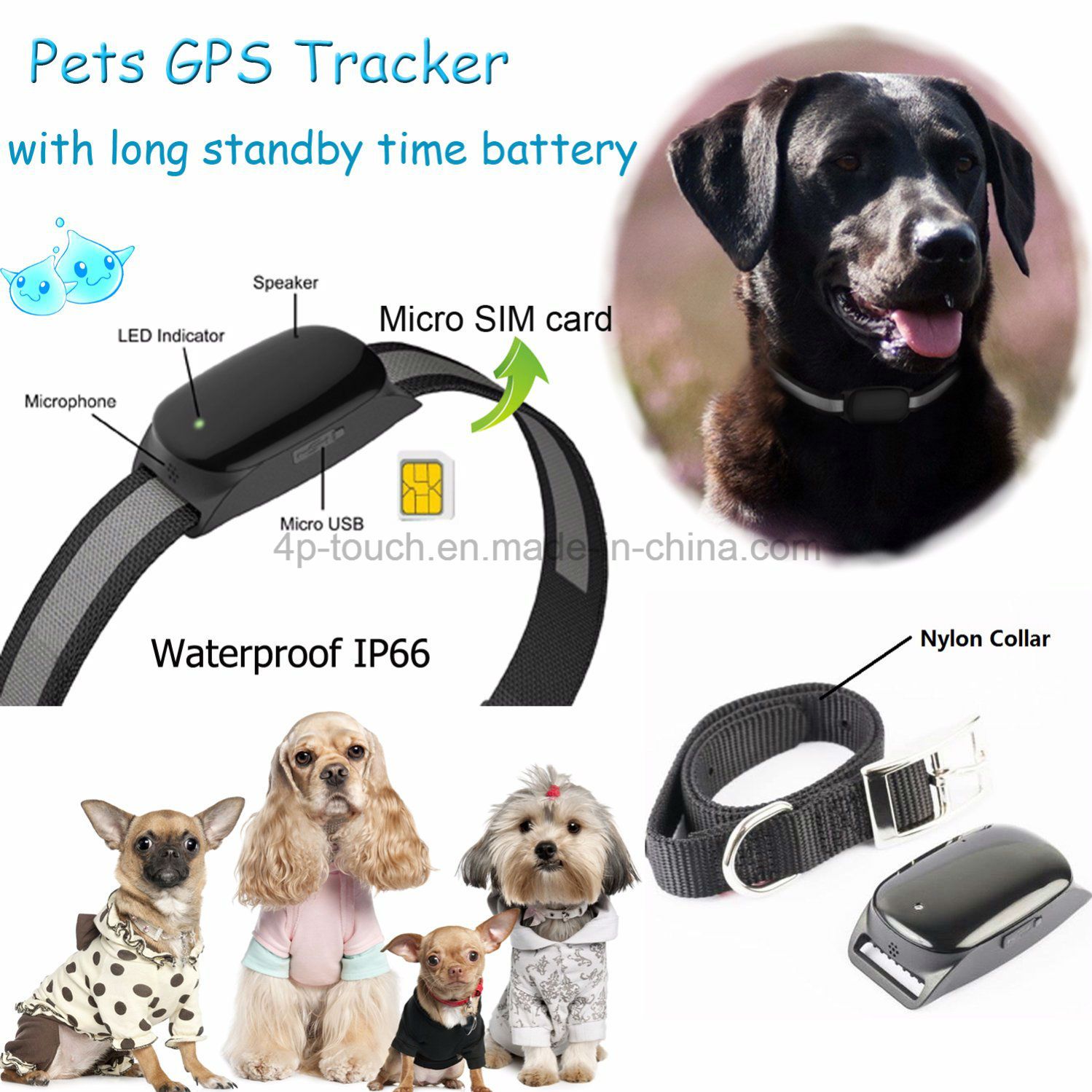 IP66 Waterproof Pet GPS Tracker with Collar (EV-200)