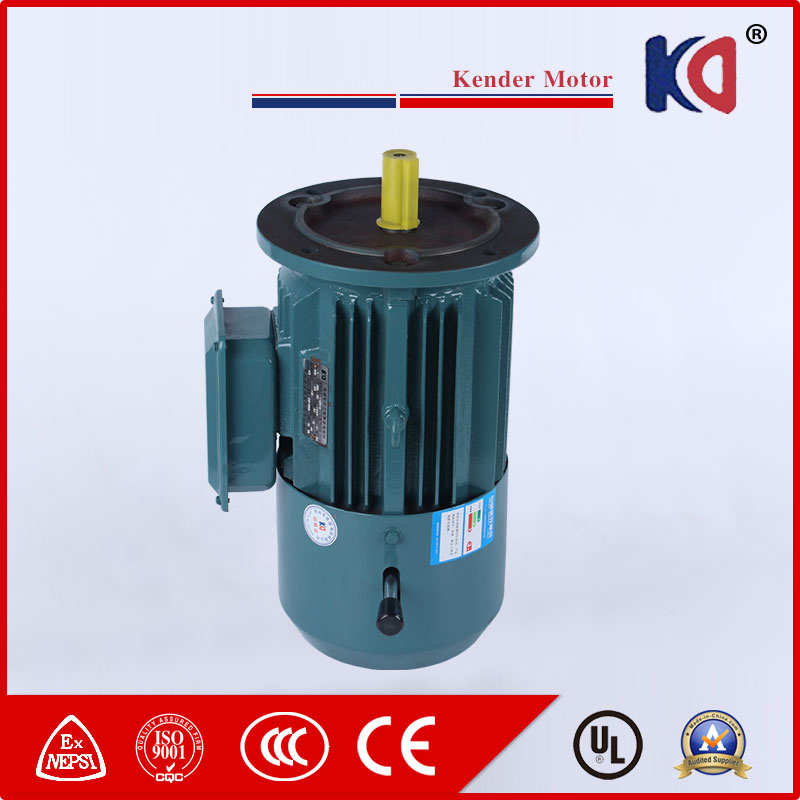 Singlr Phase Electric Brake AC Motor