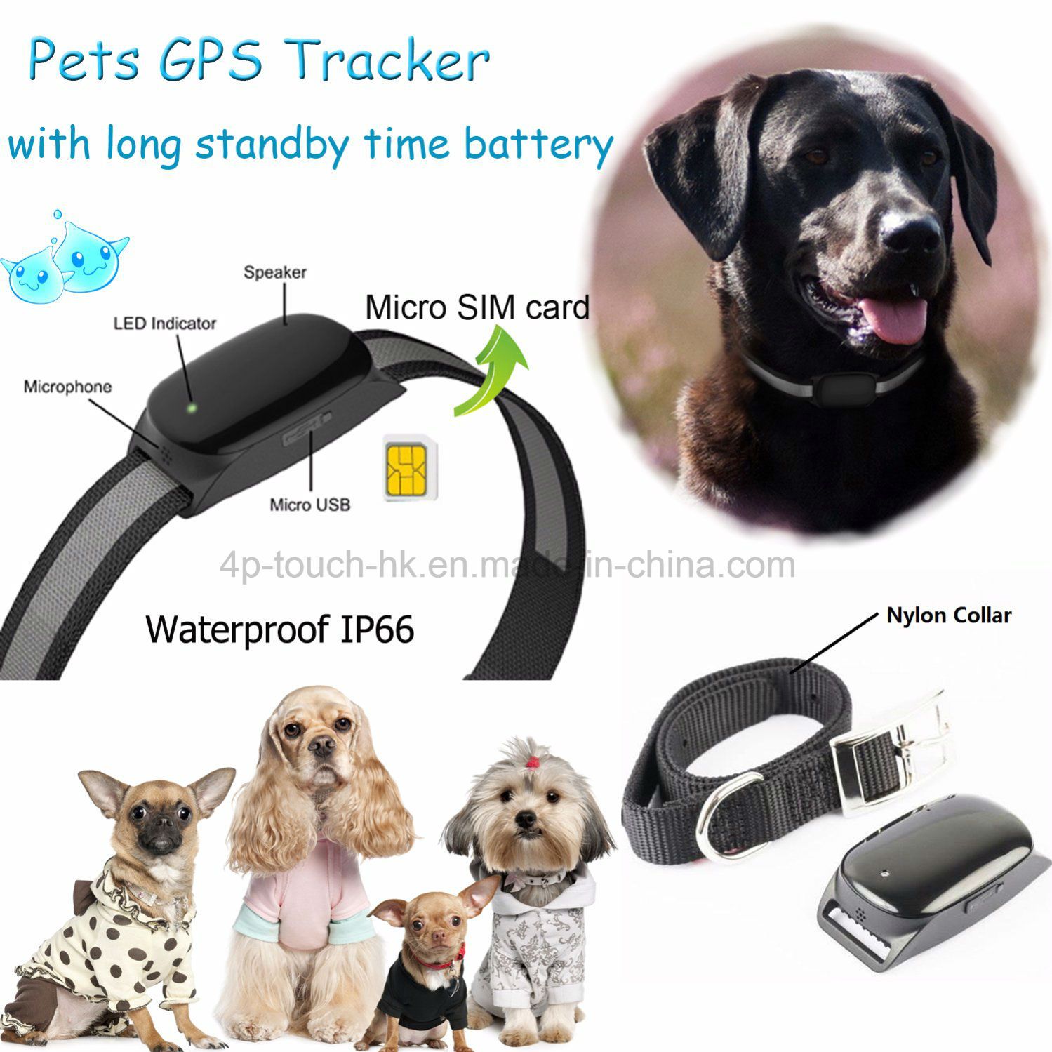 Waterproof Pet GPS Tracker with Real Time Tracking and Positioning EV-200