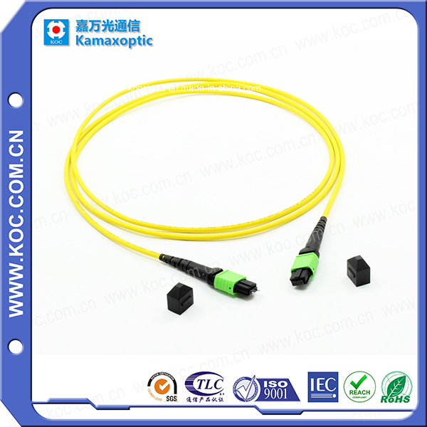 MPO MTP Fiber Optic Cable for Data Center
