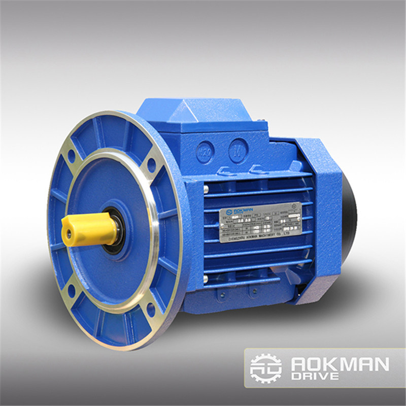 Top Quality High Performance AC Gear Motor