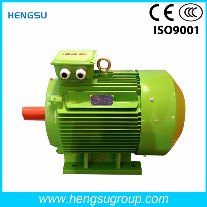 Ye2 Cast Iron Three Phase AC Electric Induction Motor