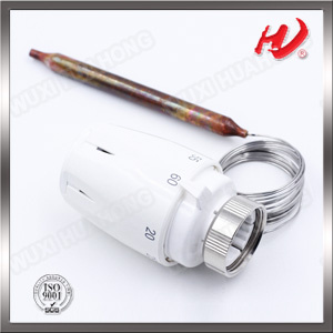Home Using Thermostatic Radiator Head with Remote Sensor
