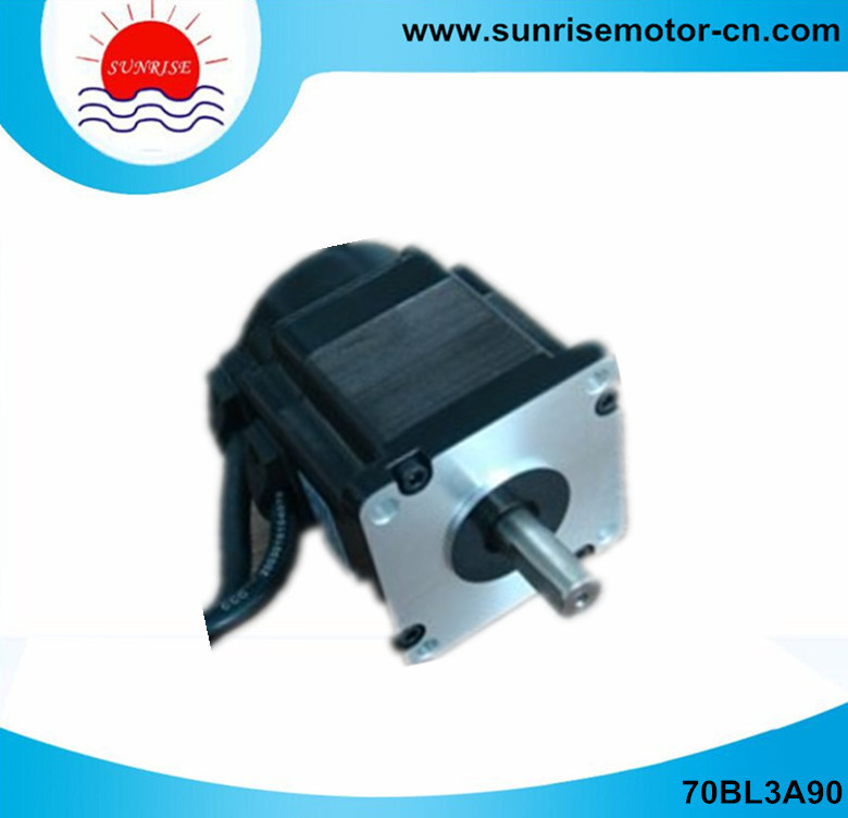 70bl3a90 310VDC 313W 1n. M 3000rpm Electrical DC Motor