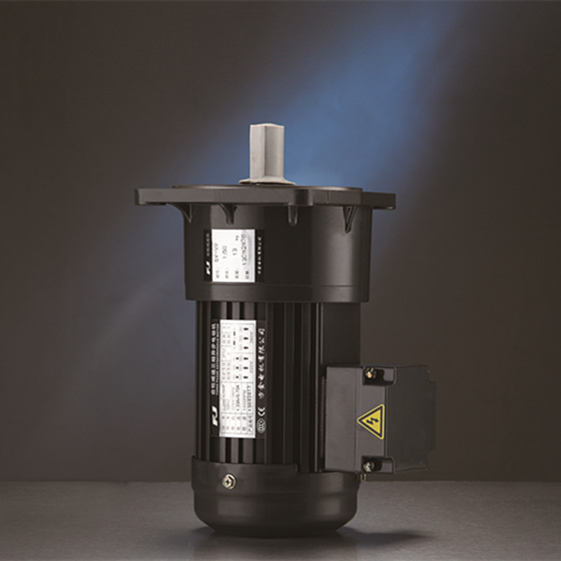 110V 220V 380V Small AC Motor with Brake Vertical Type_C