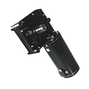 DC Worm Gear Motor for Actuates Part