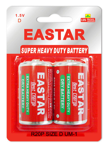 D Size Carbon Zinc Battery R20