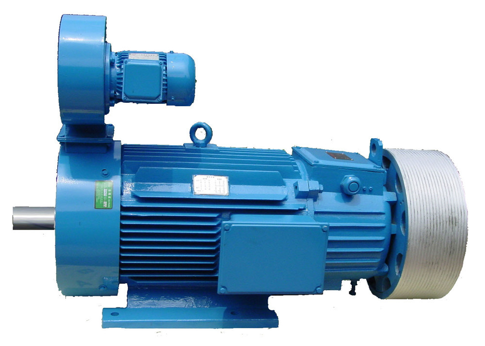 Hot Sale Three Phase Electric Motor with SGS