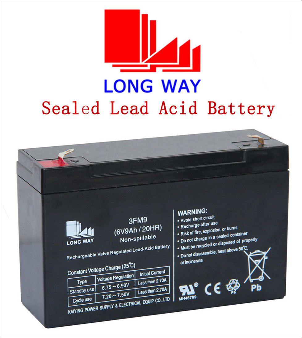 3FM9 Lead Acid Chargeable Flashlight AGM Battery