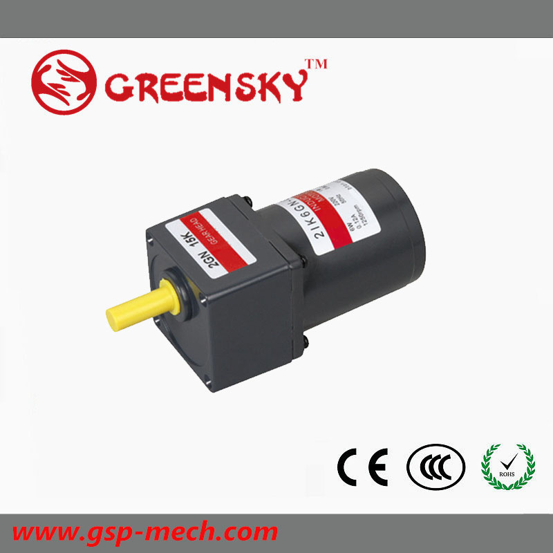 6W 3pH230V Mini AC Induction Gear Motor