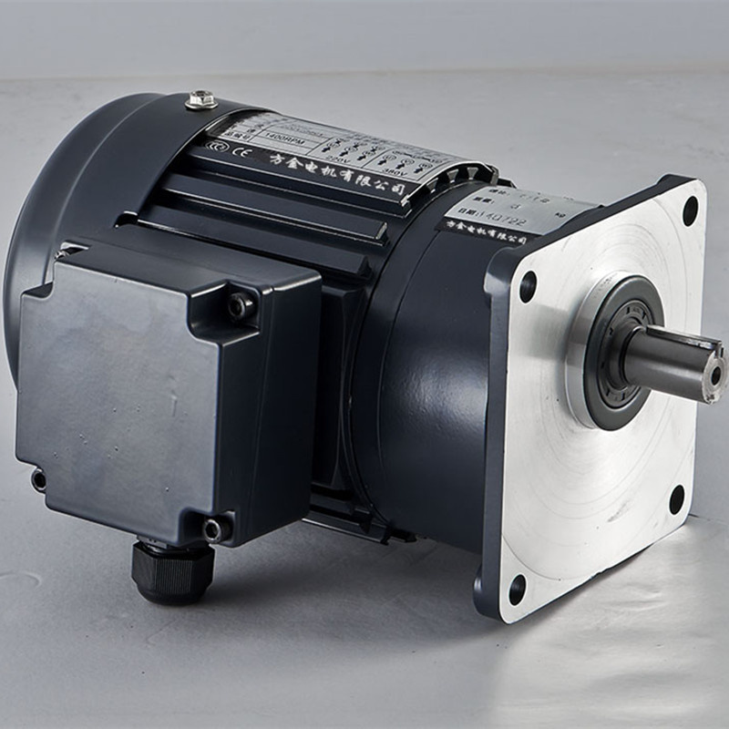 Reducer Small AC Motor Geared Motor_C