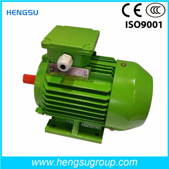 Ye2 3552 Cast Iron Three Phase AC Induction Electric Motor