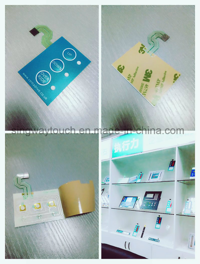 High Quality Embossed Membrane Switch with Beautiful Price