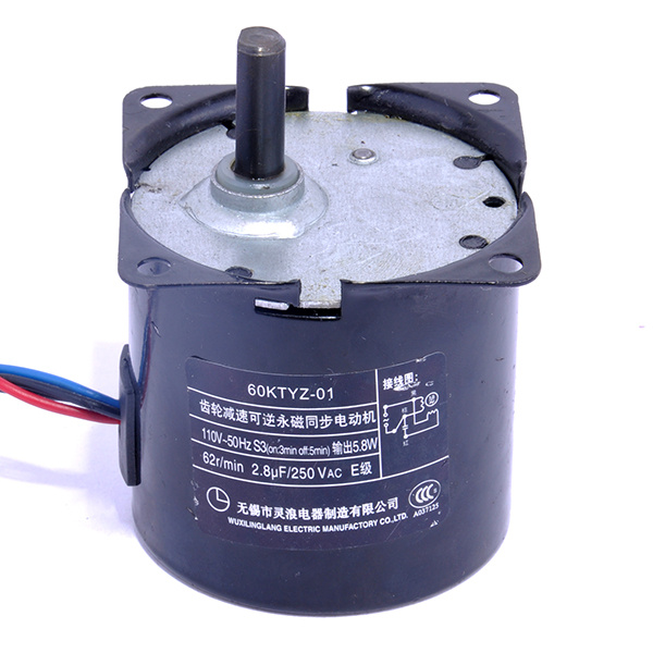 AC Micro Motor
