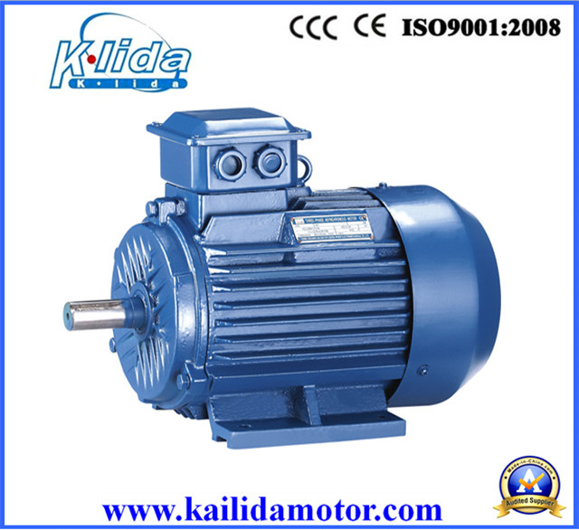 Iec Three Phase Induction Motor (Y2)