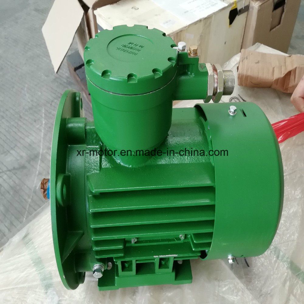 Three Phase AC Explosion-Proof Asynchronous Electric Motor with Ce
