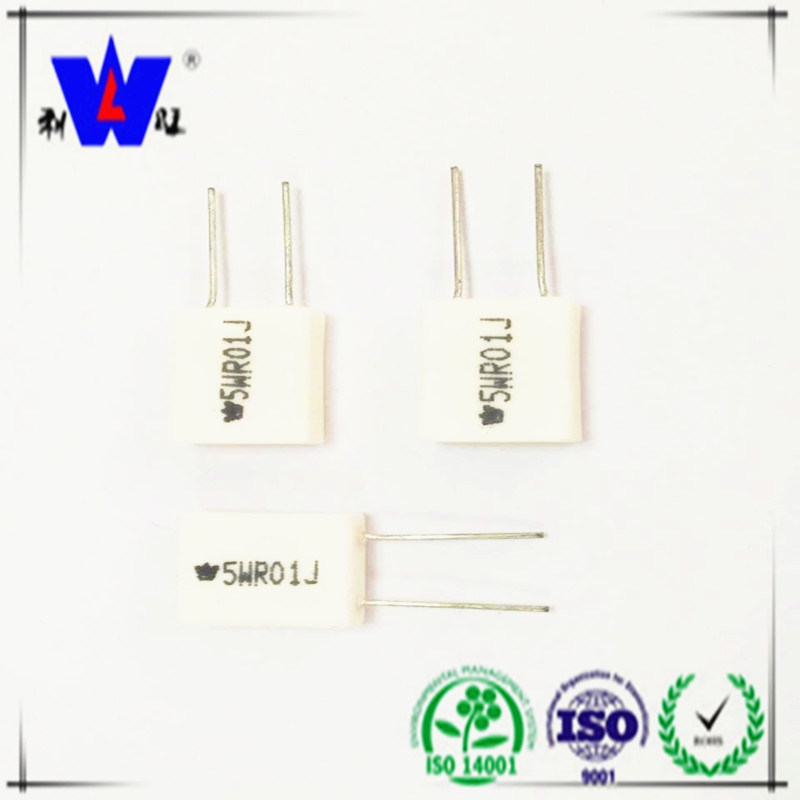 Rgg Cement Wire Wound Resistor with ISO9001