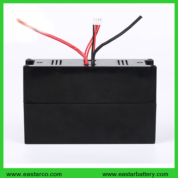 Sea E-Scooter 24V 10ah Lithium Battery Pack with Ce