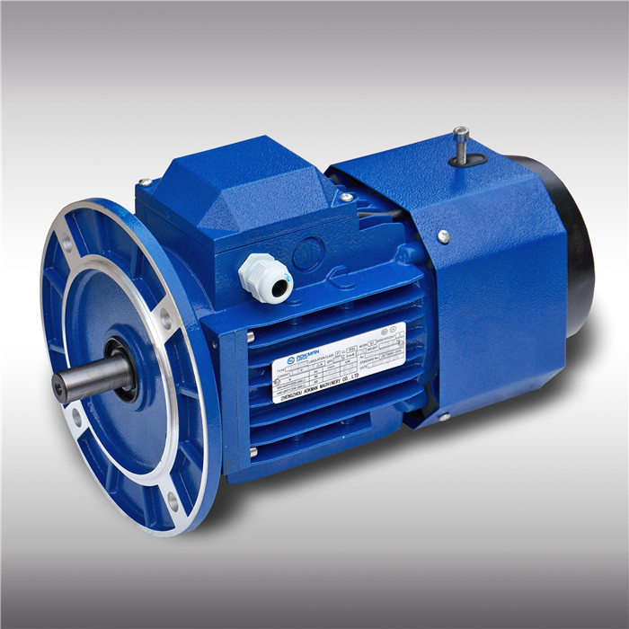 Hot Selling 380V-400V AC Motor with Brake