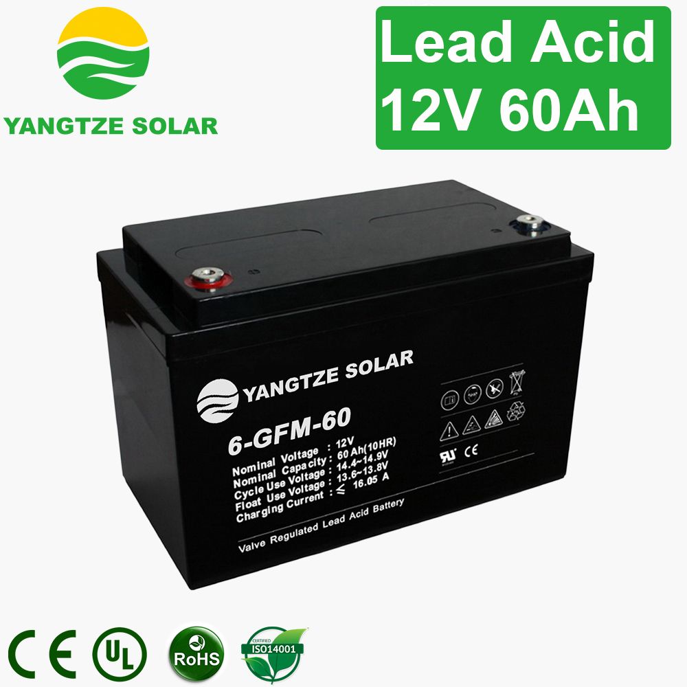 Free Shipping Largestar Battery 12V 60ah