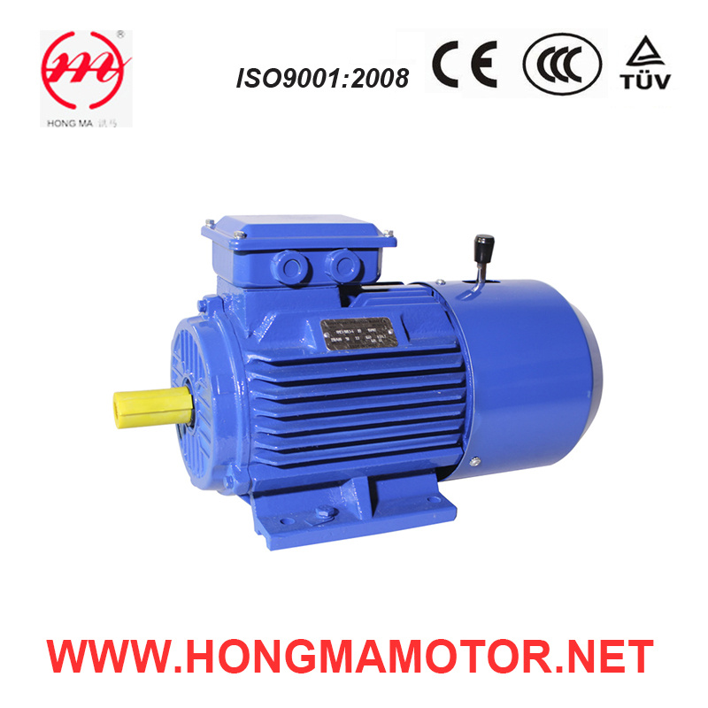 6p 15kw DC Brake Asynchronous Induction Motor (180L-6-15KW)