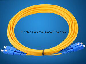 Sc-Sc Sm Dx 2.0mm G652D Fiber Optic Patch Cord