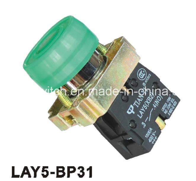 Lay5-Bp31 Flush with Water-Proof Cover Push Button Switch