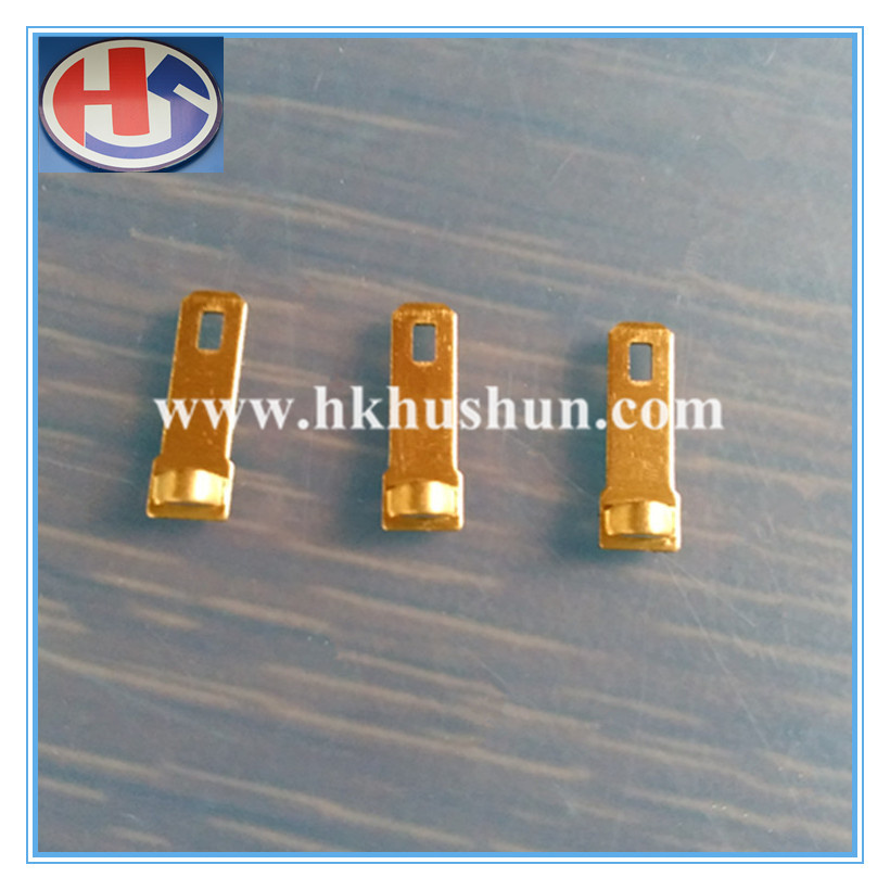 OEM All Kinds of Terminal, Brass Terminal (HS-BT-018)