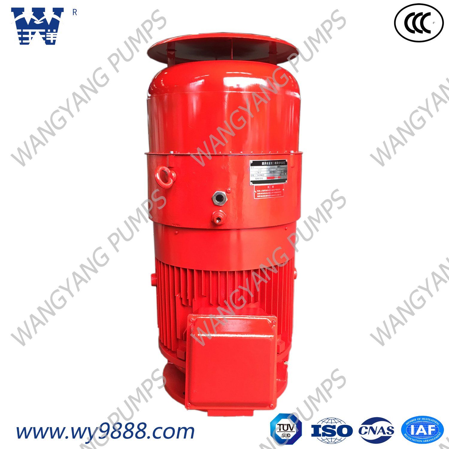 Vertical Turbine Pump Motor Vertical Hollow-Shaft Asynchronous Motor IP54 Series