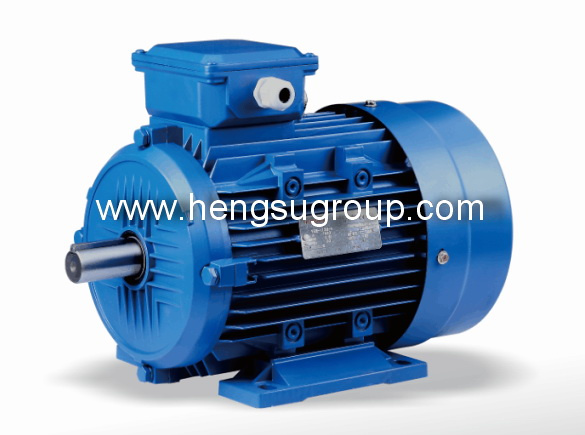 Ms Series Aluminium Body Three Phase Induction Electric Motor