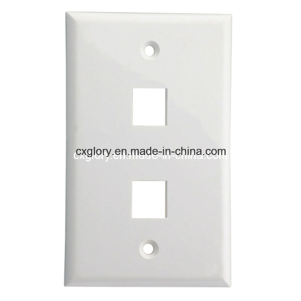 2 Port 120 Type Long Faceplate